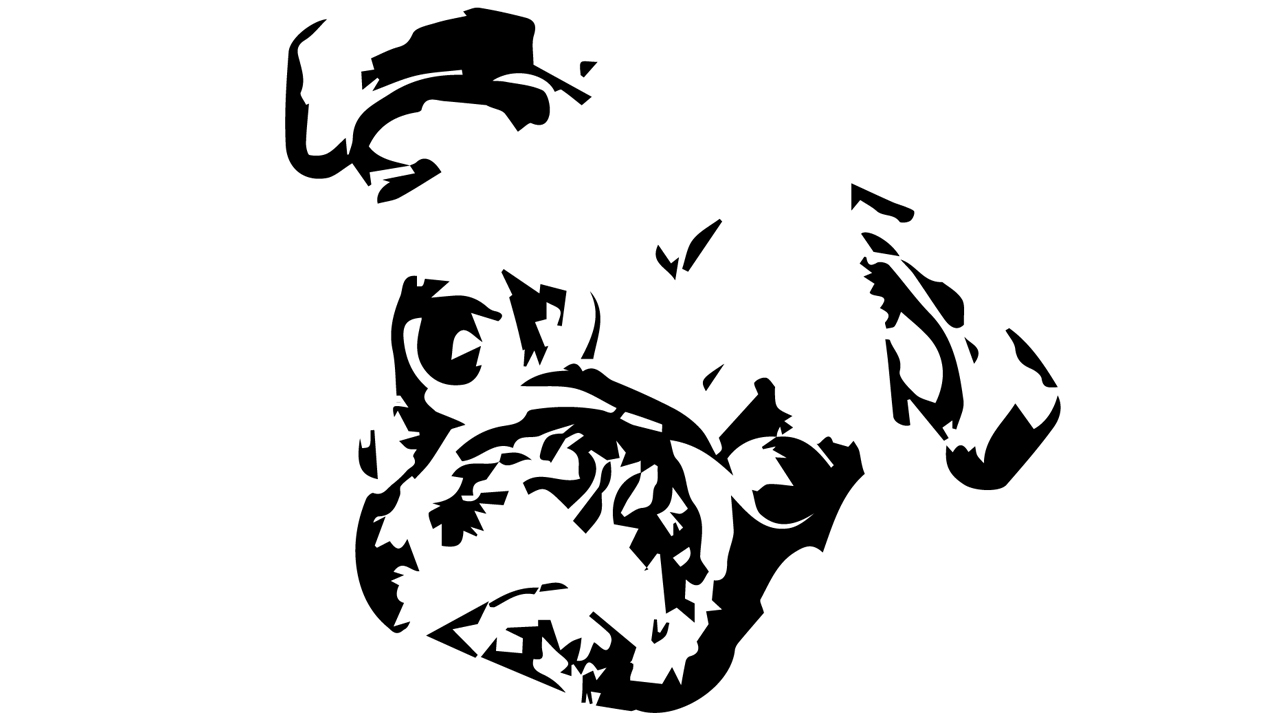 Web design for Pug-Nose Records